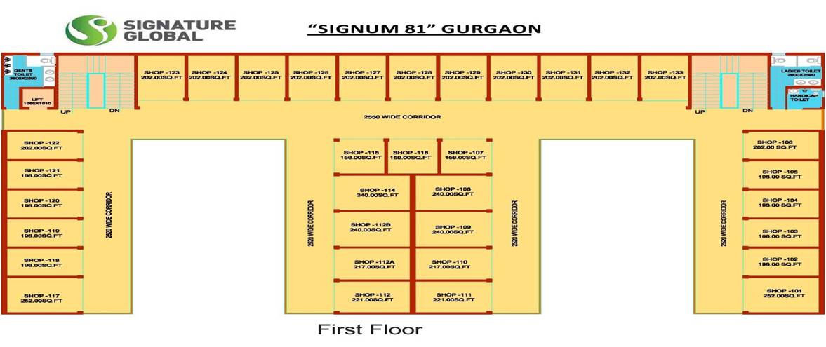 First Floor Signum 81